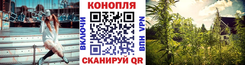 Марихуана планчик  Емва 